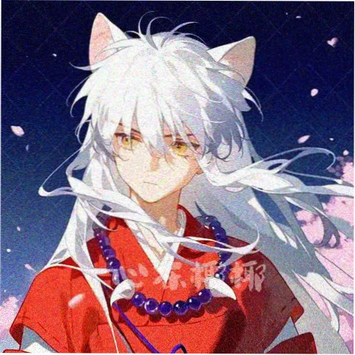 黑狐之风影演员 陈思
